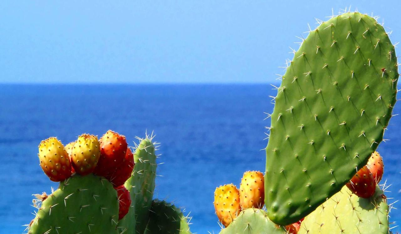 Casa Dante Bed&Breakfast Mattinata Εξωτερικό φωτογραφία