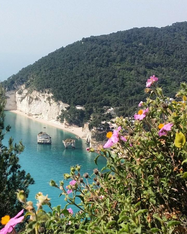 Casa Dante Bed&Breakfast Mattinata Εξωτερικό φωτογραφία
